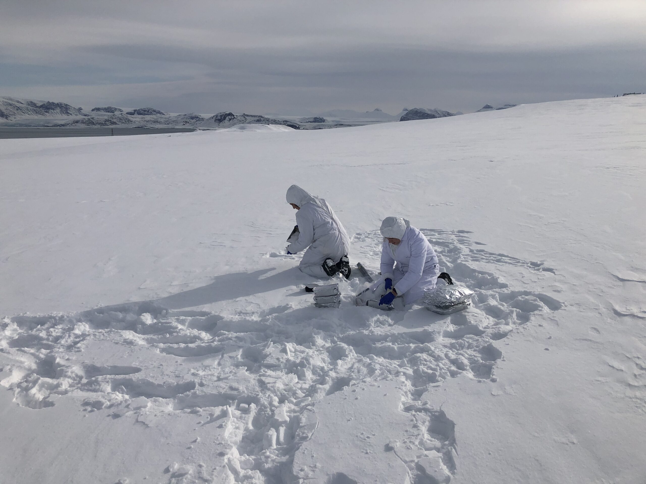 Attività di campionamento di neve a Ny-Ålesund, Isole Svalbard Crediti: F. Scoto, CNR - Unive