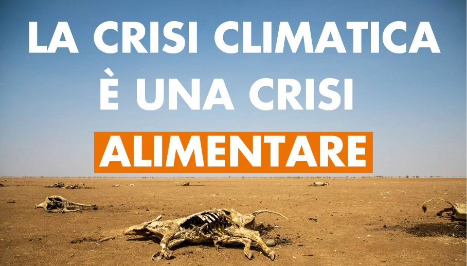 Cop28, Azione Contro la Fame: passi avanti ancora insufficienti (foto dalla petizione di Azione Contro la Fame)