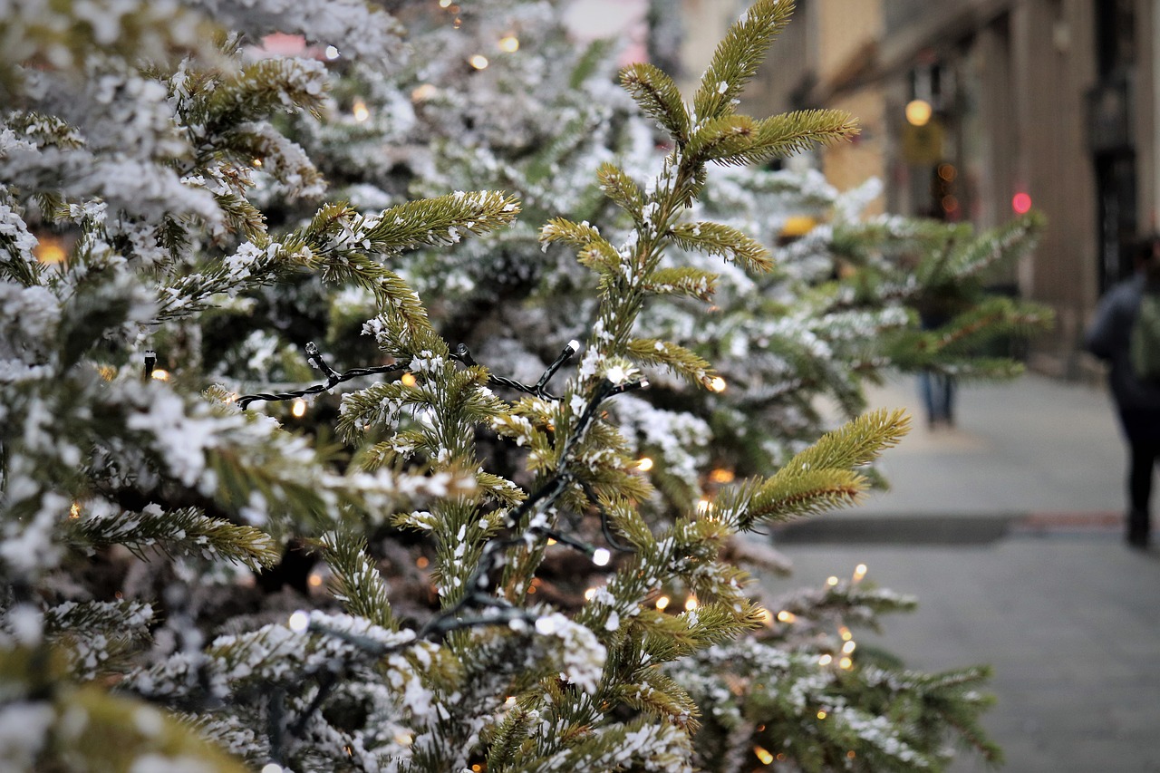 https://pixabay.com/it/photos/albero-di-natale-luci-strada-4679463/