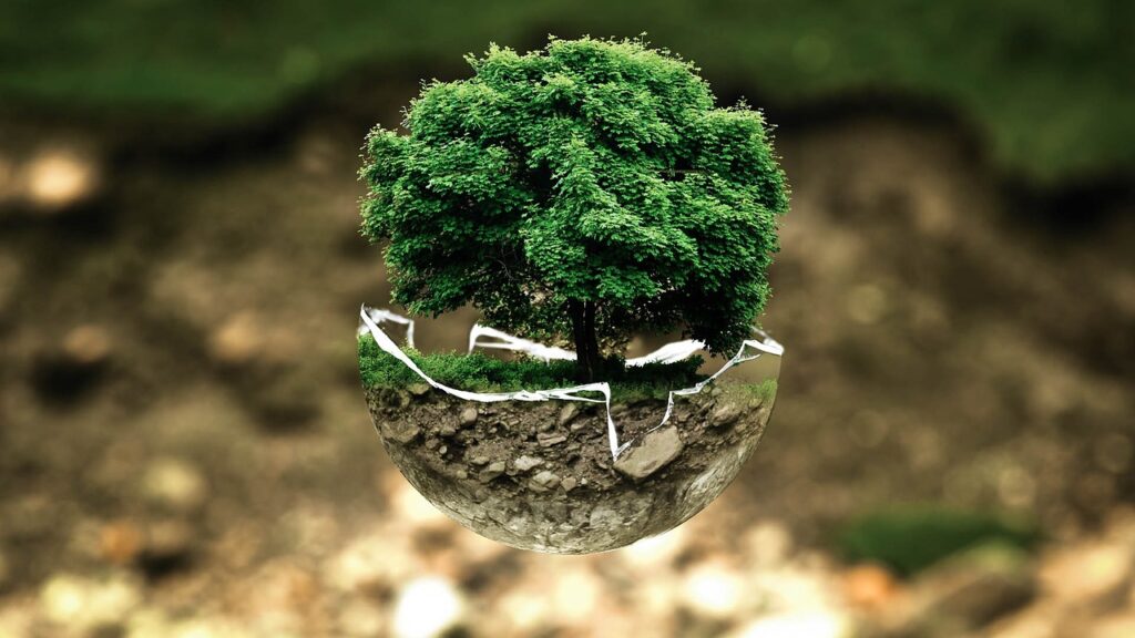 Informazioni green in etichetta, Altroconsumo: servono regole più severe