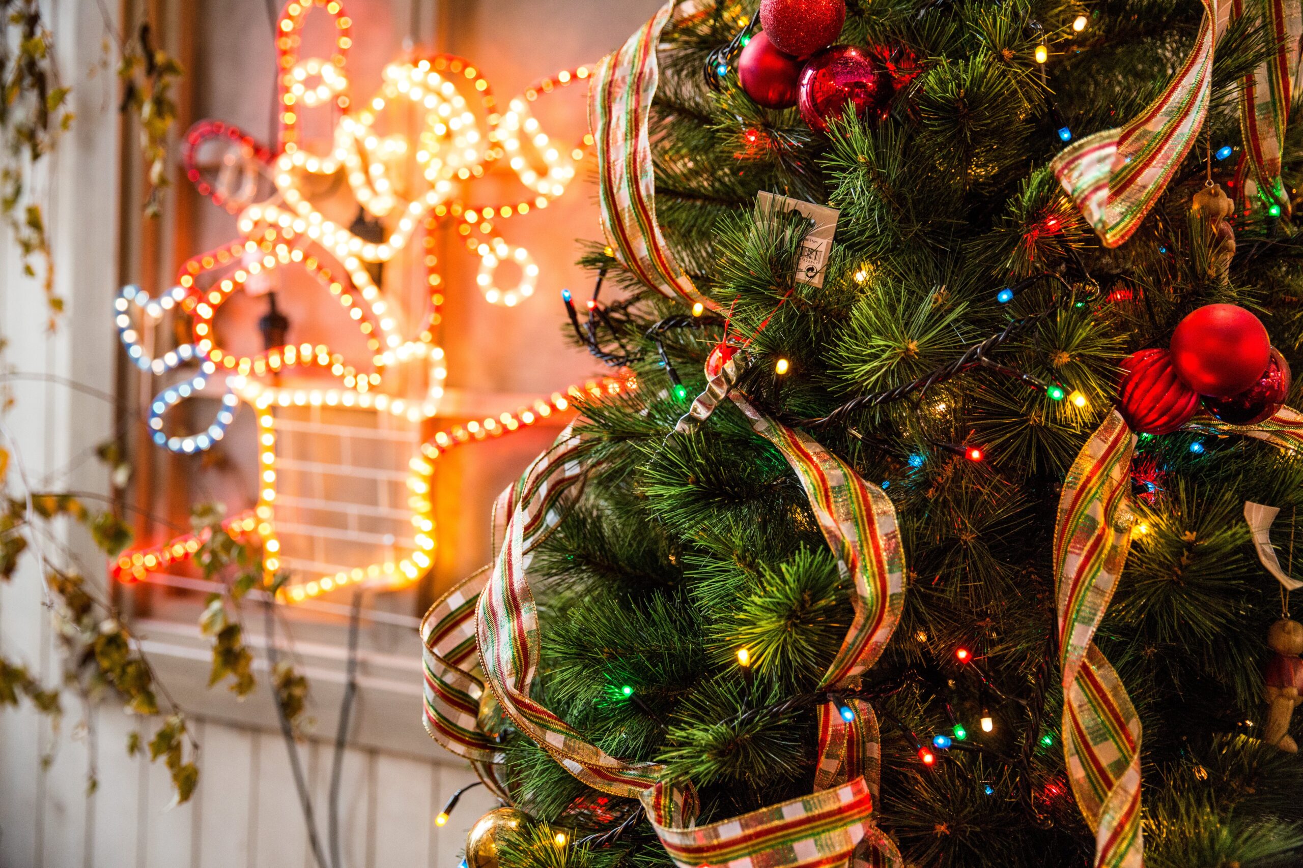 https://www.pexels.com/it-it/foto/albero-di-natale-verde-688573/