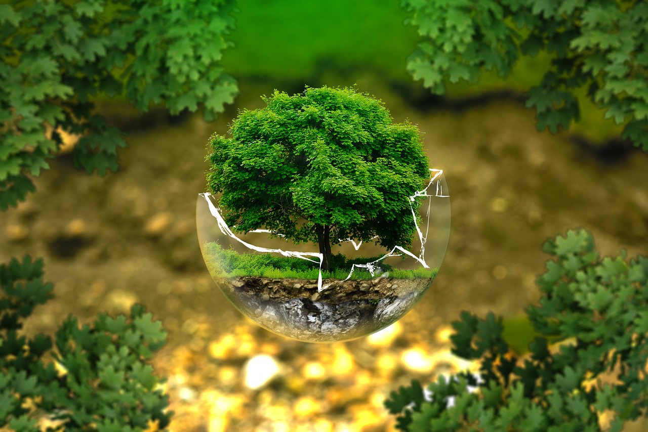 https://www.treccani.it/vocabolario/greenwashing_%28Neologismi%29/