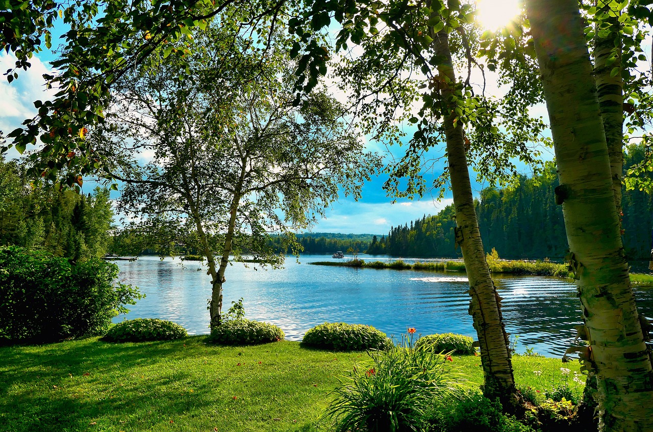 https://pixabay.com/it/photos/lago-soleggiato-foresta-paesaggio-7107210/