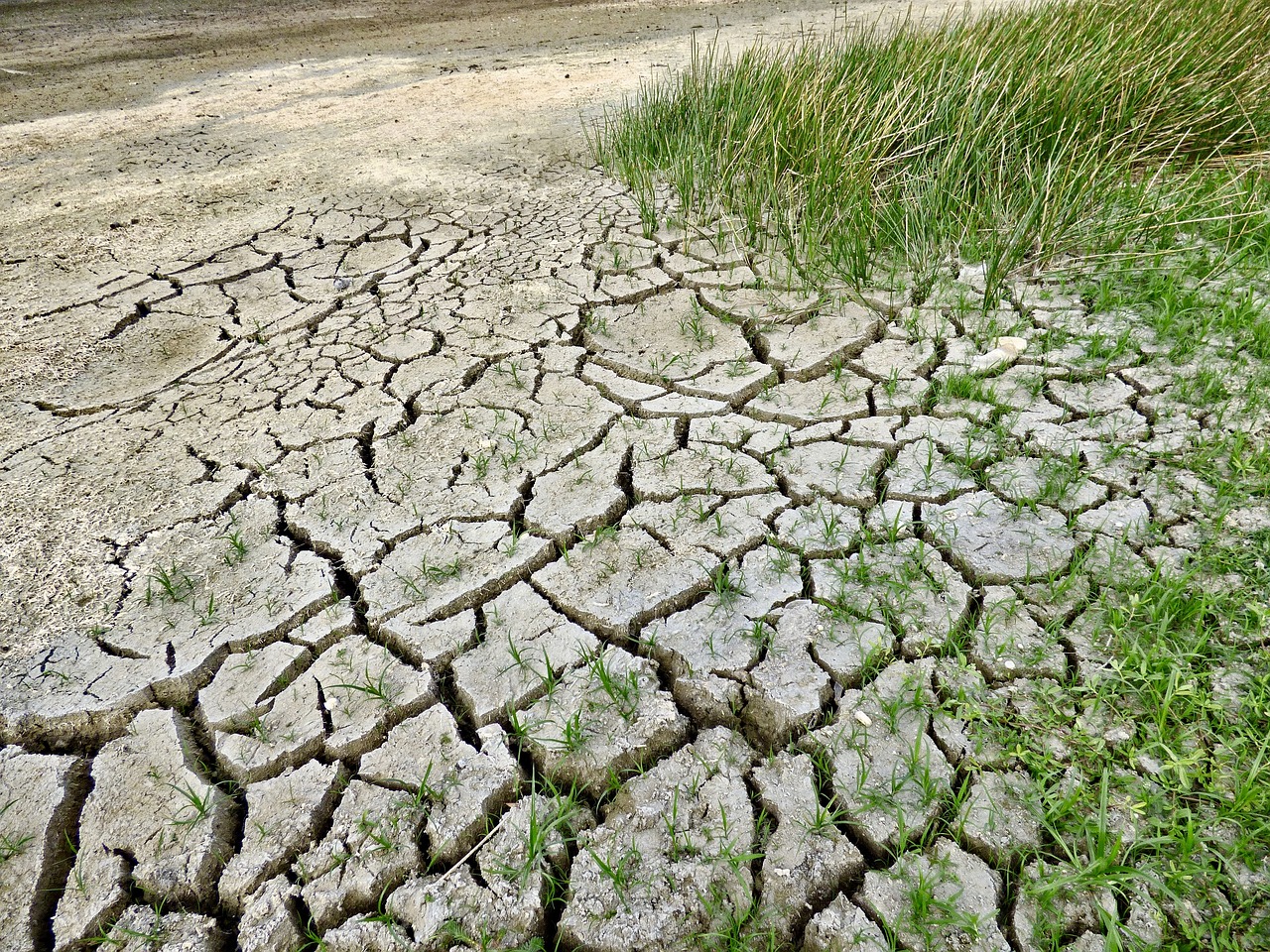 https://pixabay.com/it/photos/cambiamento-climatico-siccit%C3%A0-clima-2241061/