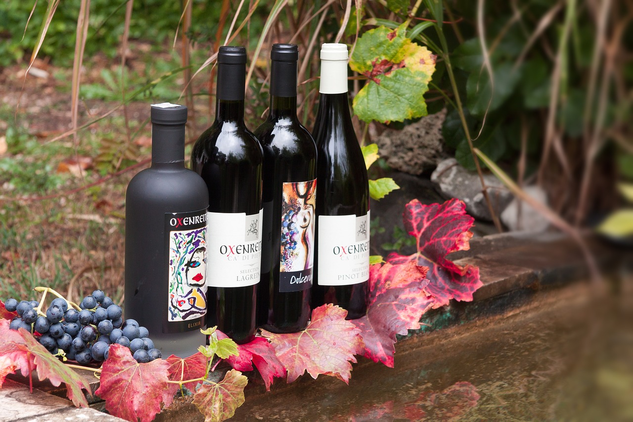 https://pixabay.com/it/photos/vino-bottiglia-etichetta-uva-1730720/