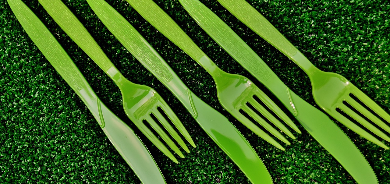 https://pixabay.com/it/photos/posate-monouso-verde-plastica-2821397/