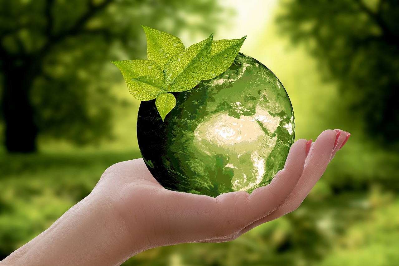 https://pixabay.com/it/photos/natura-terra-sostenibilit%C3%A0-foglia-3289812/