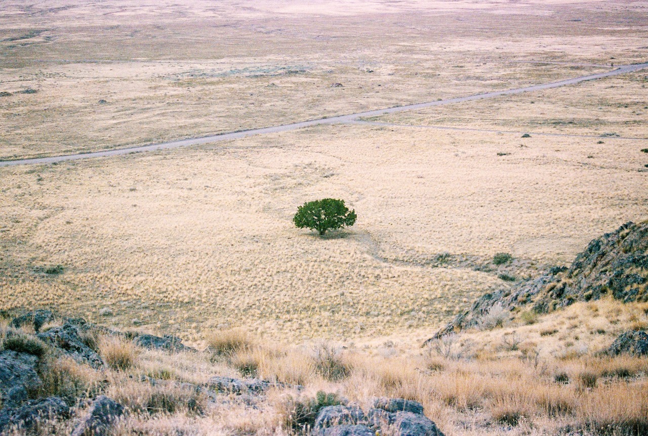 https://pixabay.com/it/photos/deserto-terra-arida-paesaggio-5507220/