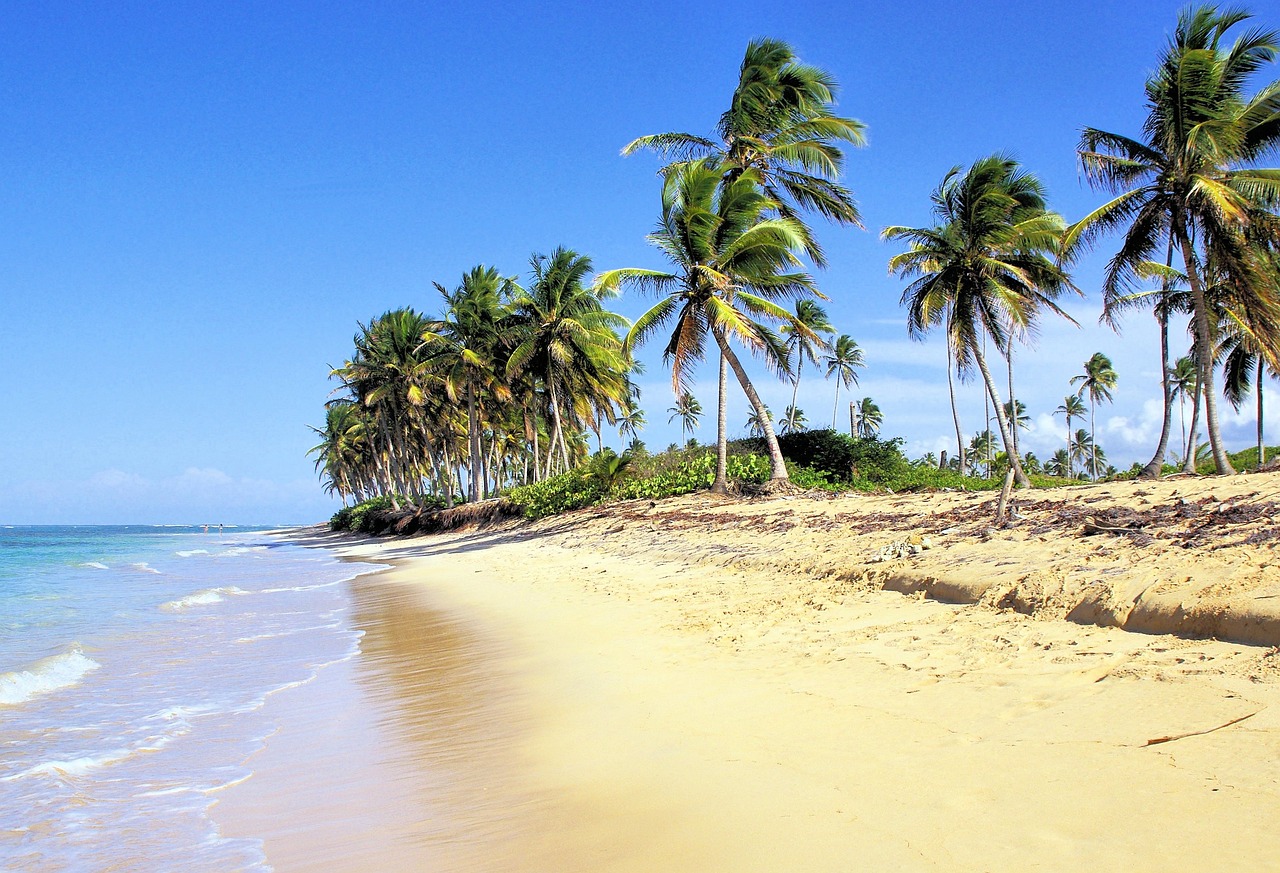 https://pixabay.com/it/photos/repubblica-dominicana-spiaggia-780382/