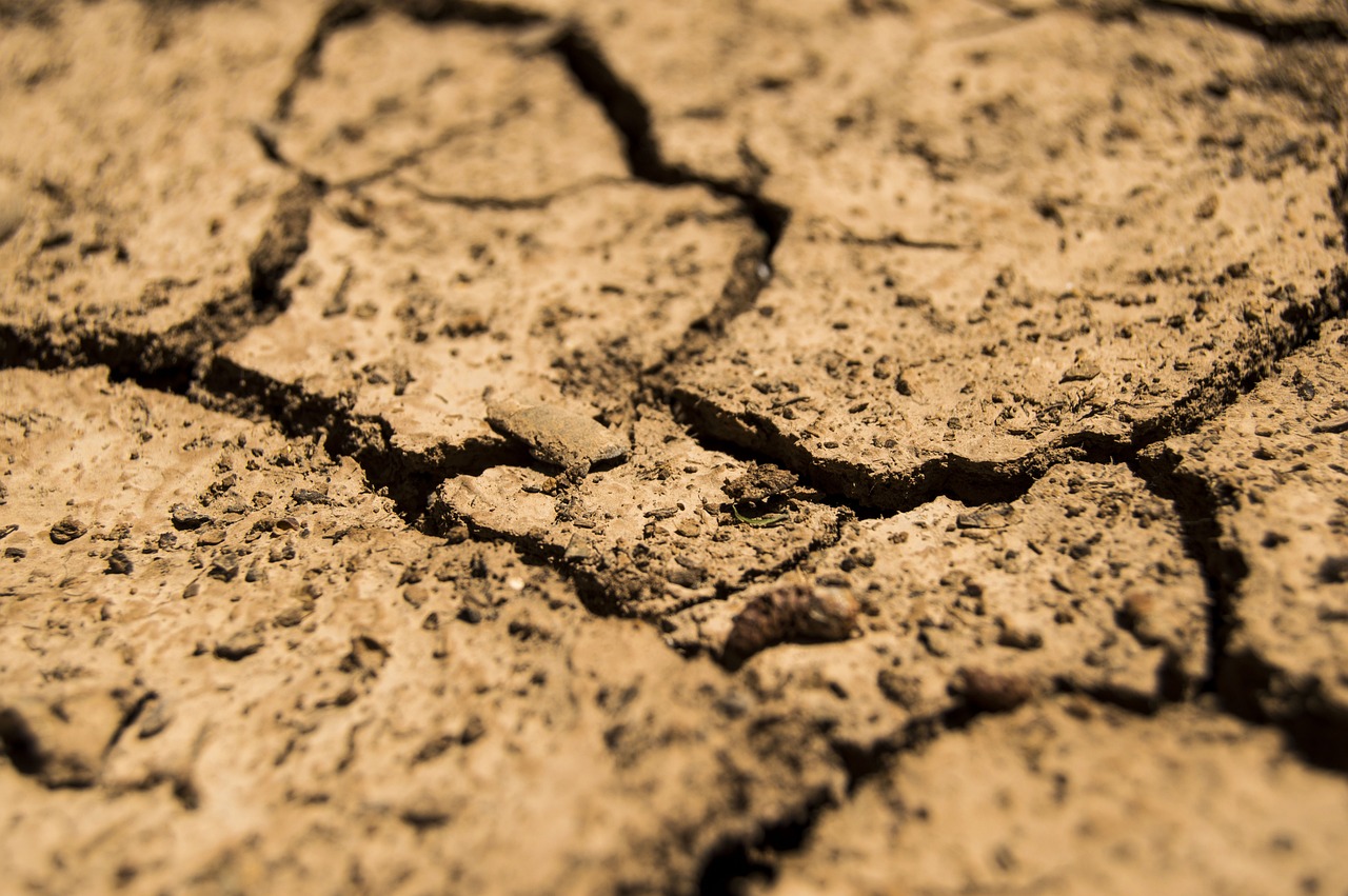 https://pixabay.com/it/photos/siccit%C3%A0-aridit%C3%A0-asciutto-terra-780088/