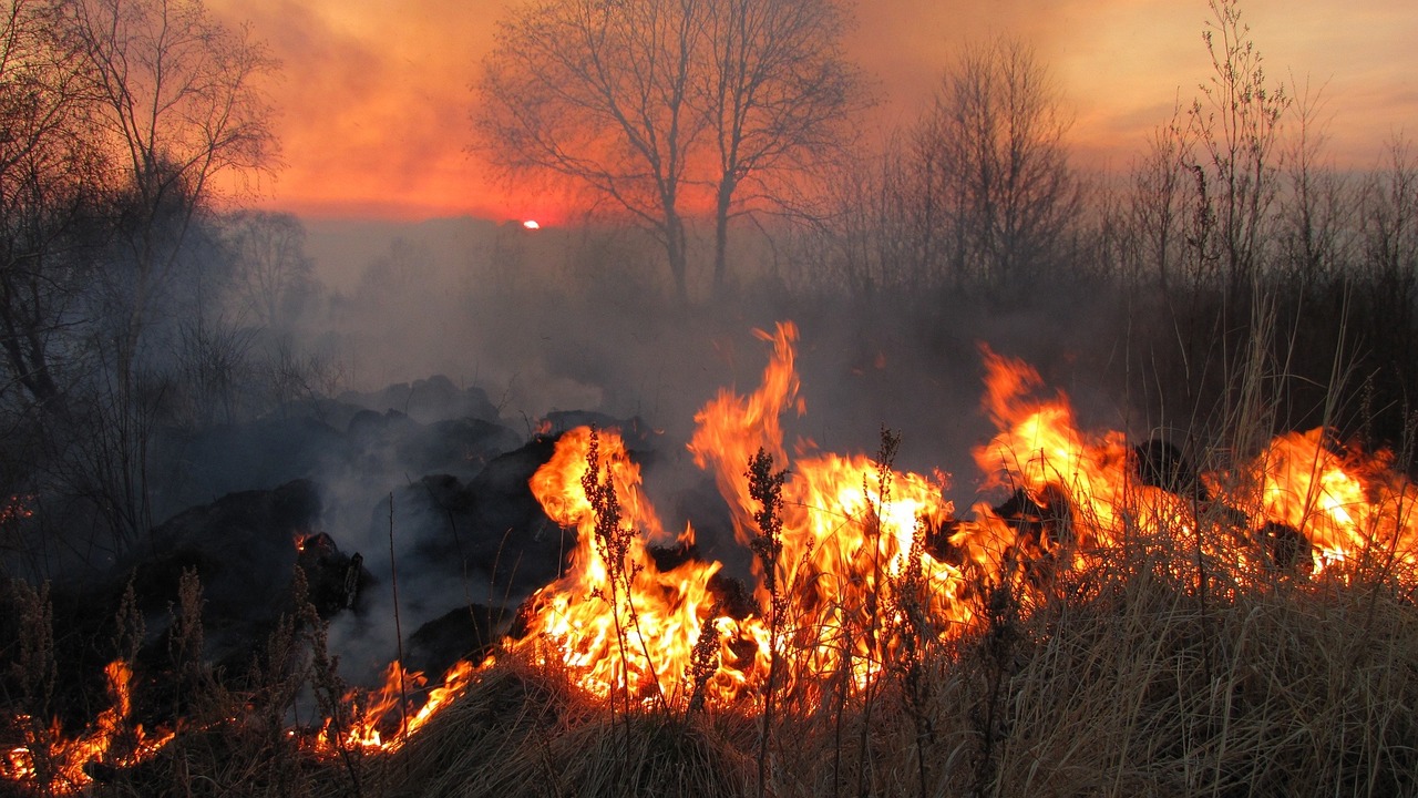 https://pixabay.com/it/photos/fuoco-incendio-koster-scintille-2551646/