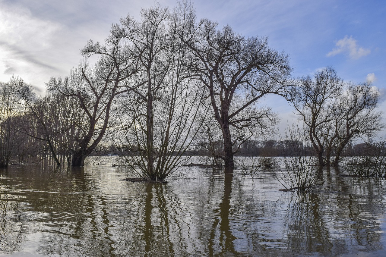 https://pixabay.com/it/photos/alluvione-fiume-alberi-riflessione-6023999/