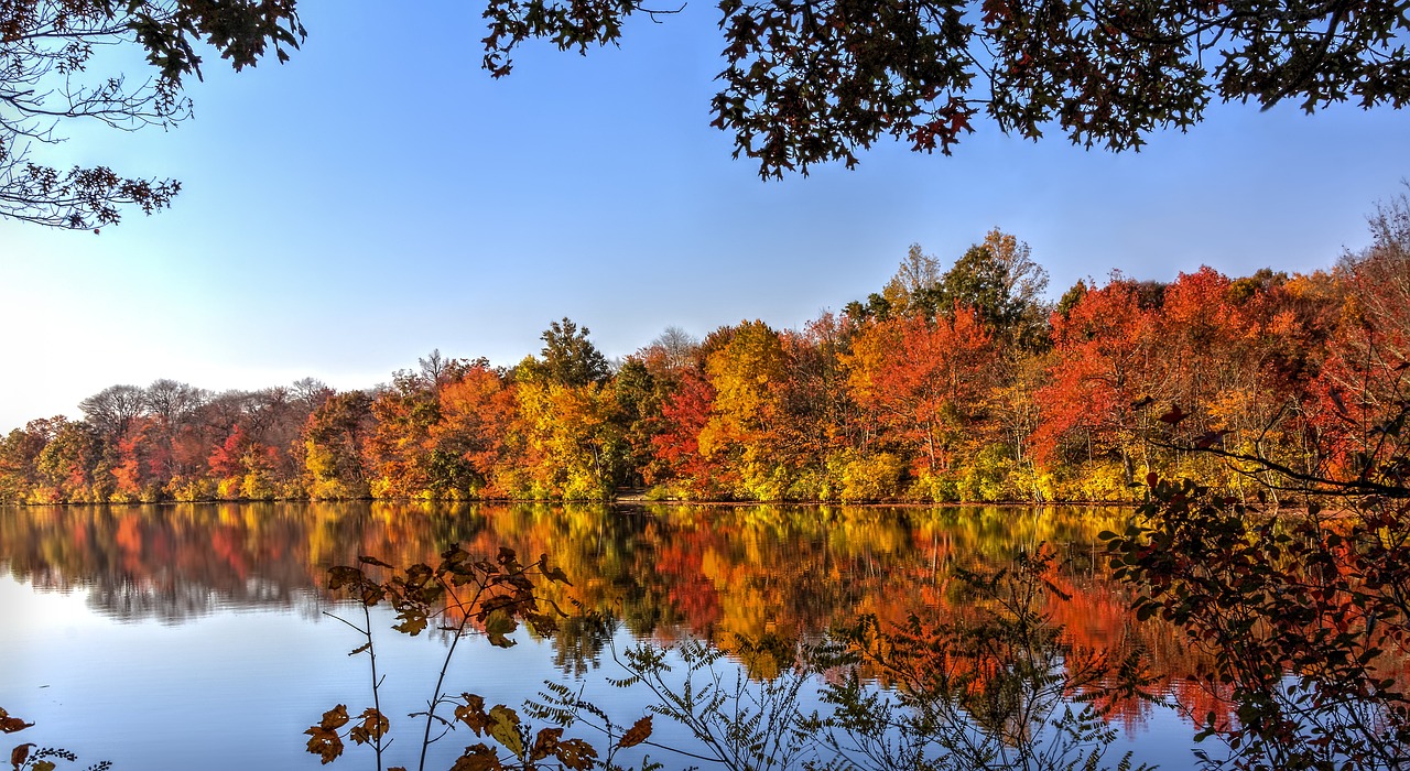 https://pixabay.com/it/photos/autunno-fogliame-natura-stagione-581074/
