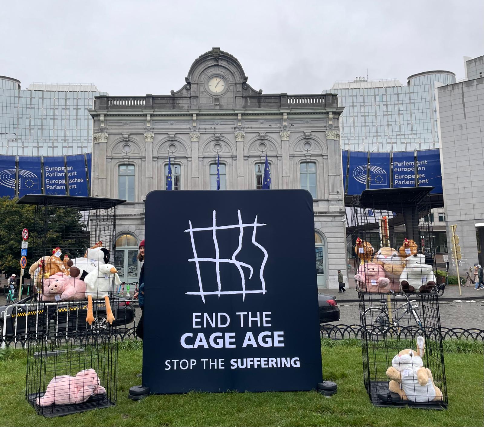 end the cage age 1