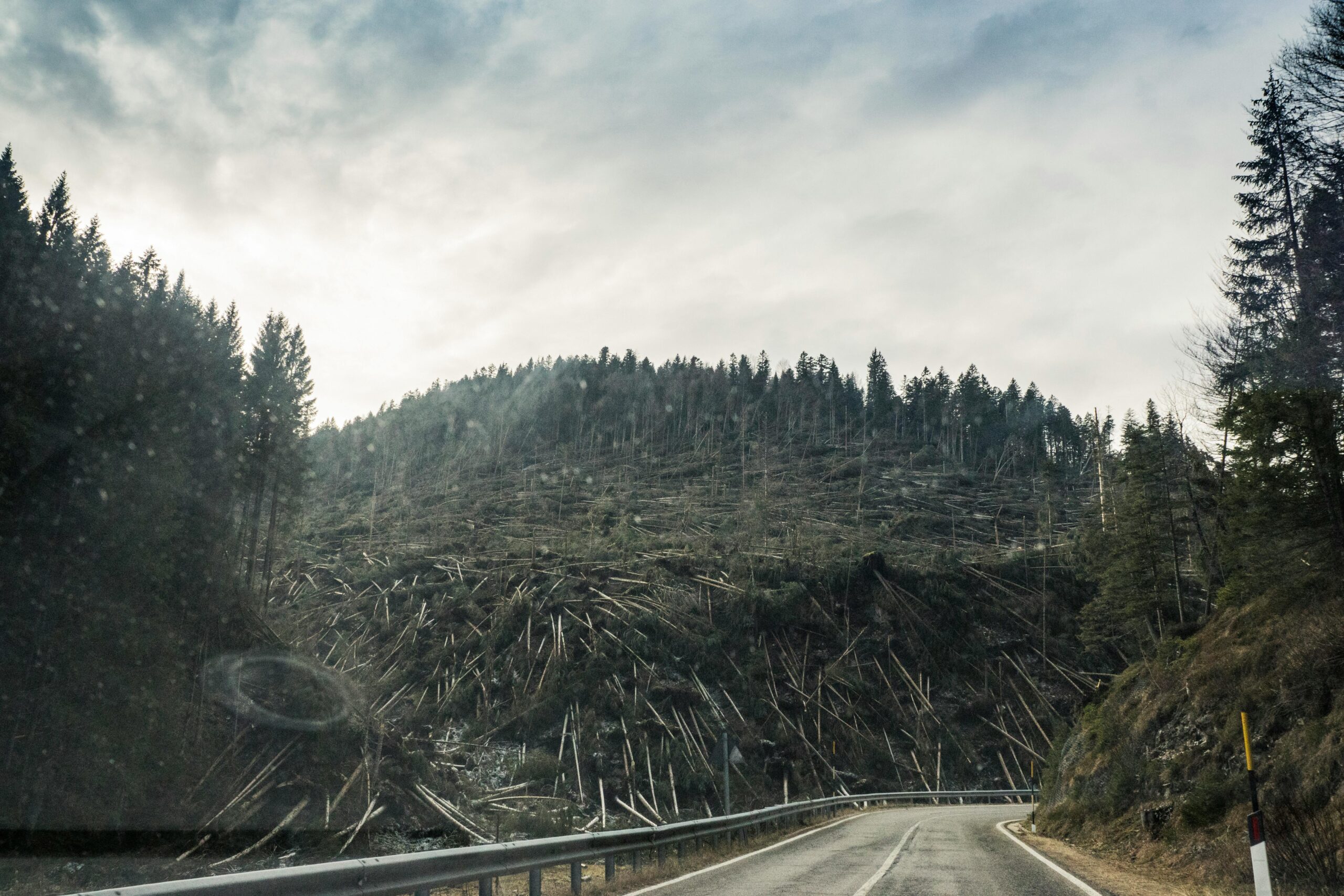 https://www.pexels.com/it-it/foto/deforestazione-1658580/