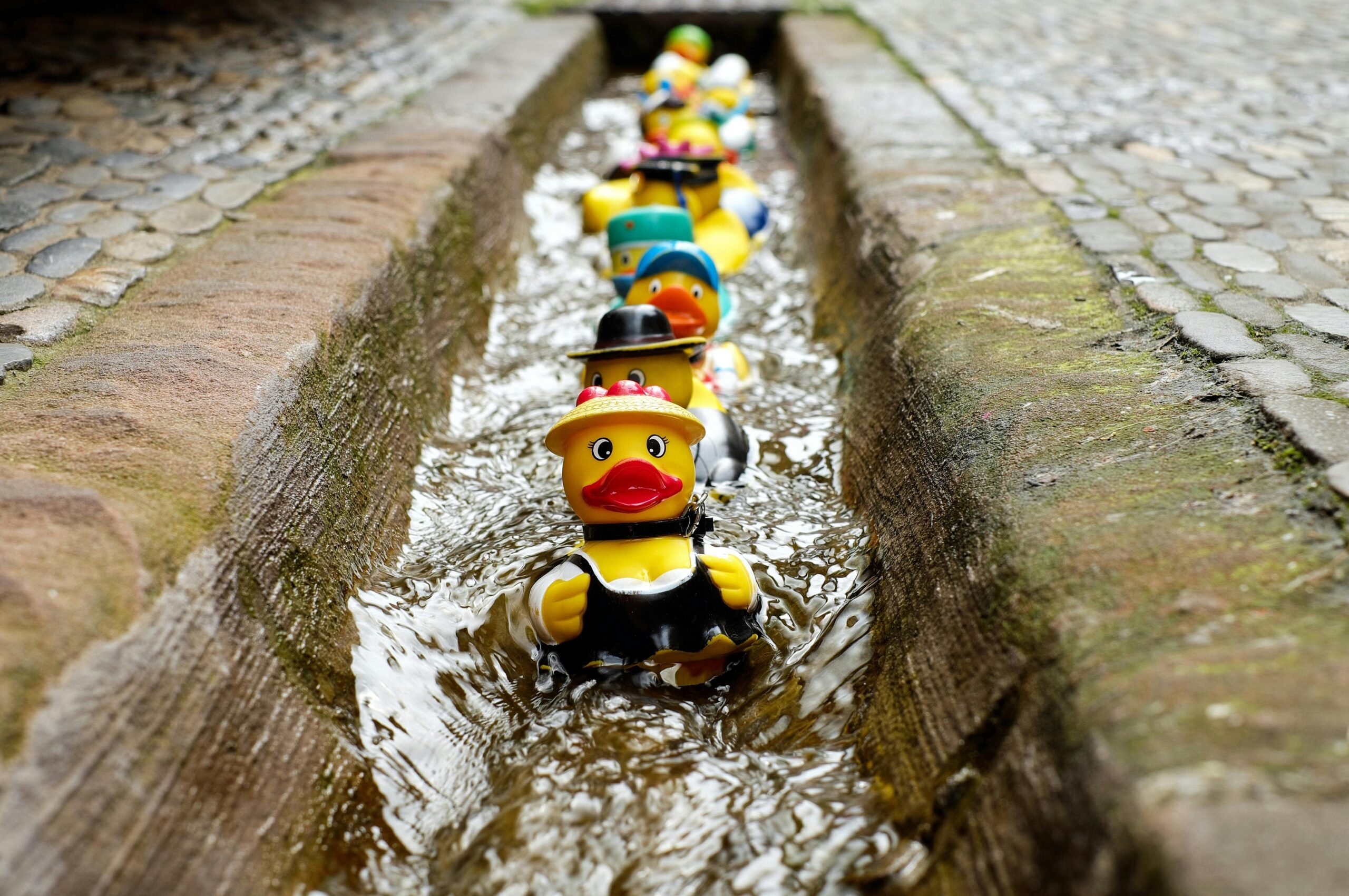 https://www.pexels.com/it-it/foto/duckies-gialli-in-linea-su-un-pavimento-di-cemento-106144/