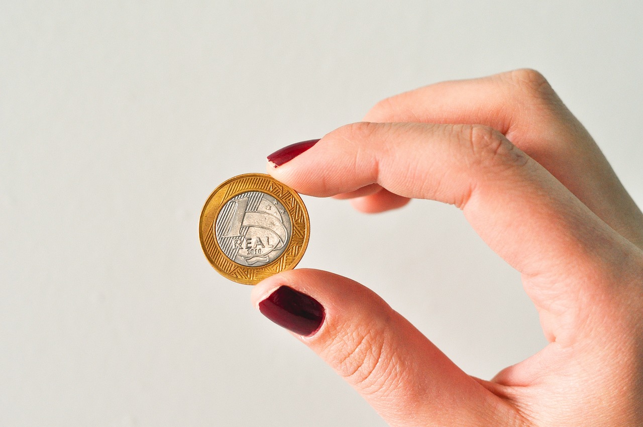 https://pixabay.com/it/photos/soldi-moneta-vero-finanze-1632052/