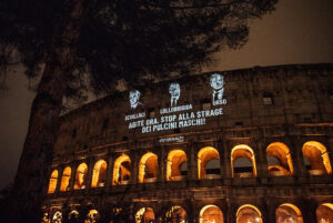 Stop strage pulcini maschi, Animal Equality proietta il messaggio rivolto ai Ministri sul Colosseo