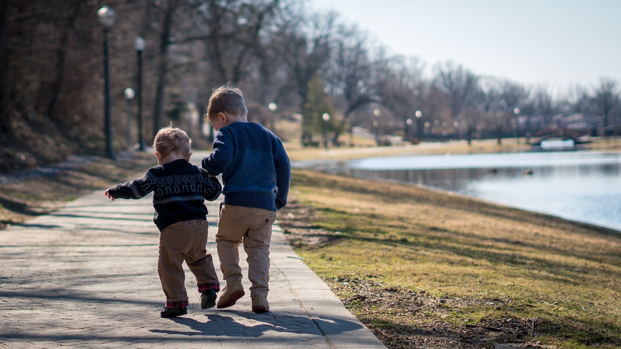 https://pixabay.com/it/photos/figli-fratelli-ragazzi-fratello-4894710/