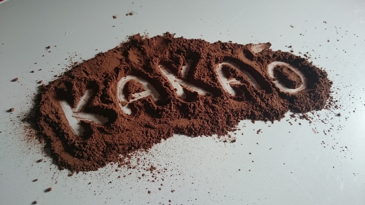 https://pixabay.com/it/photos/cacao-cioccolato-dolci-728207/
