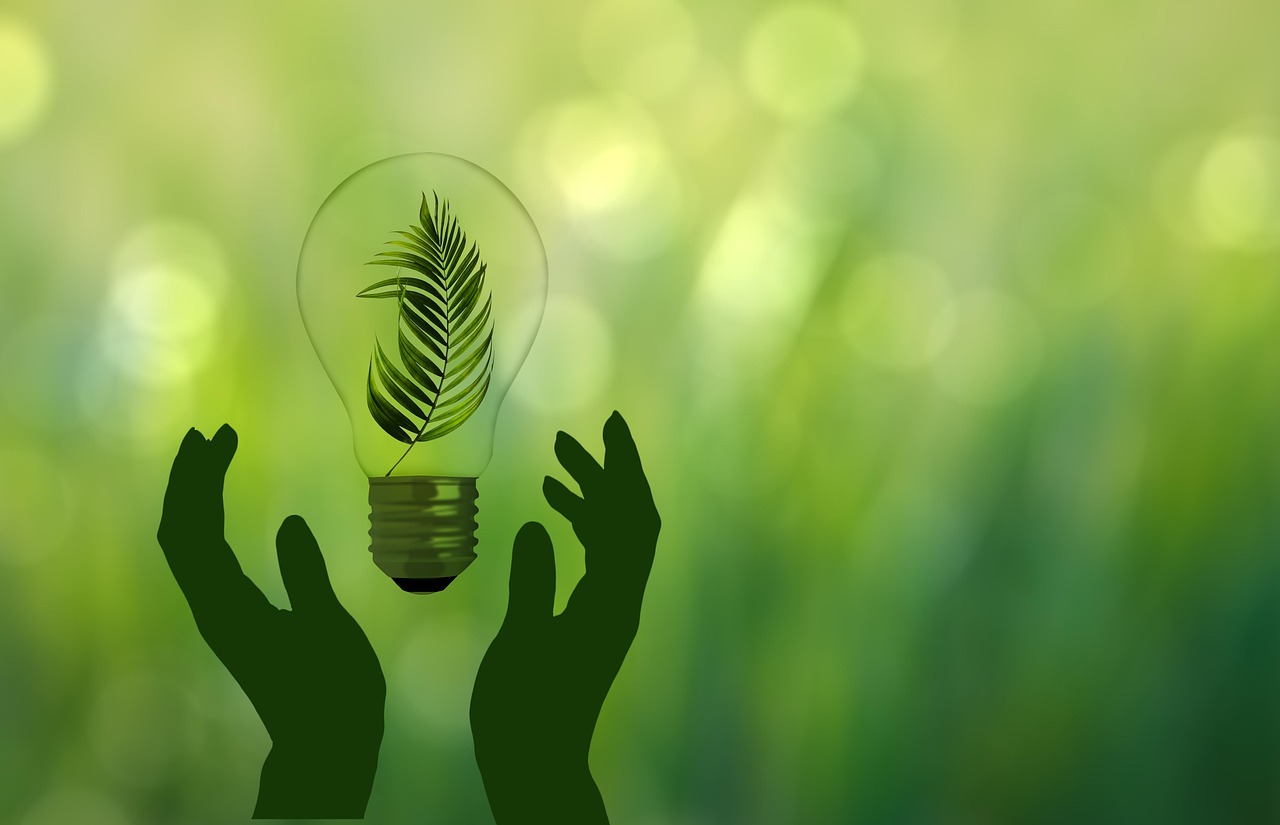https://pixabay.com/it/illustrations/risparmio-energetico-7462464/