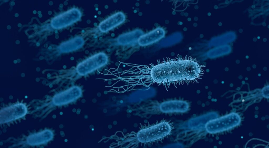 antibiotico resistenza