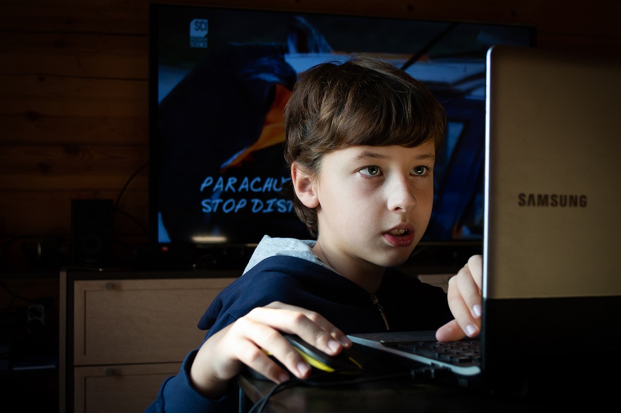 https://pixabay.com/it/photos/ragazzo-la-rete-gioco-online-baby-6680404/