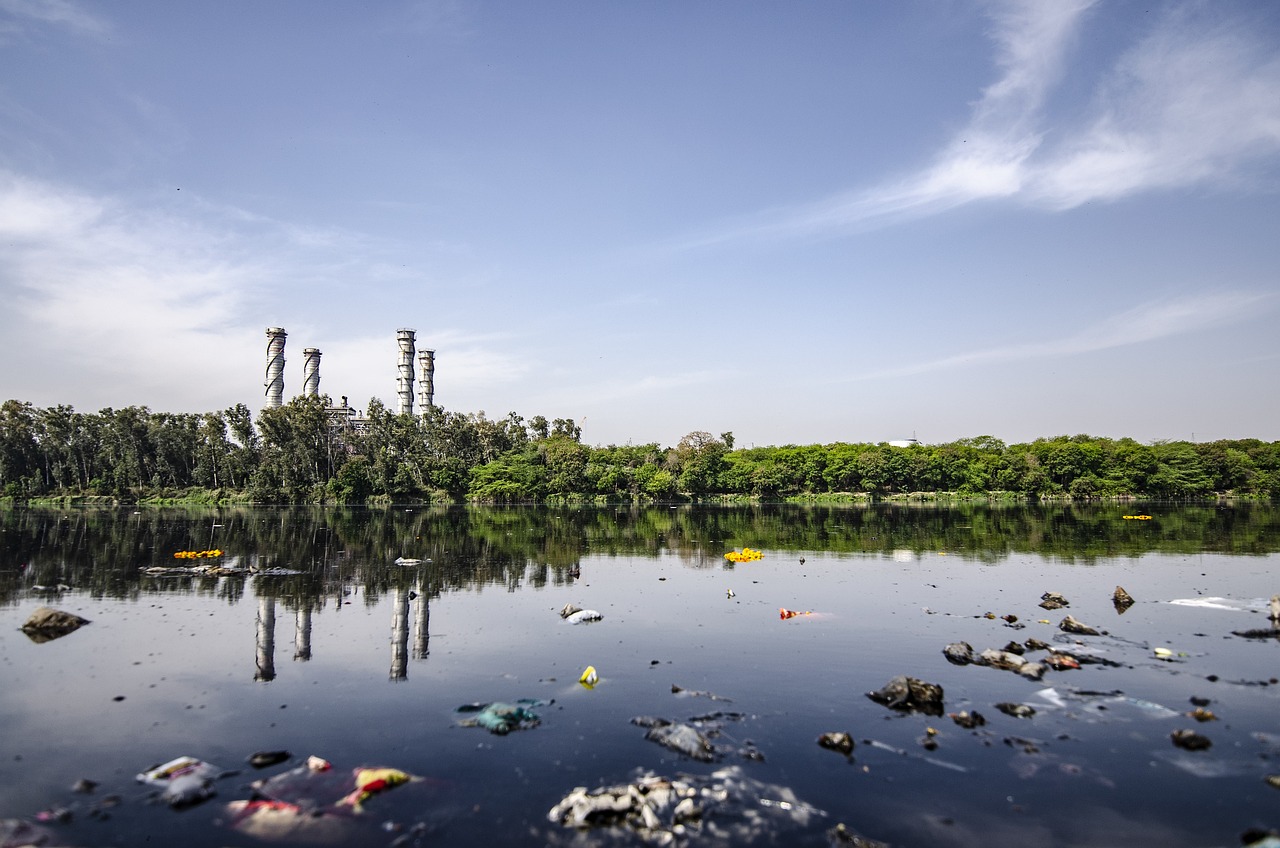https://pixabay.com/it/photos/contaminazione-4286704/