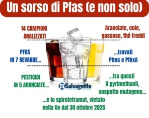 soft drink