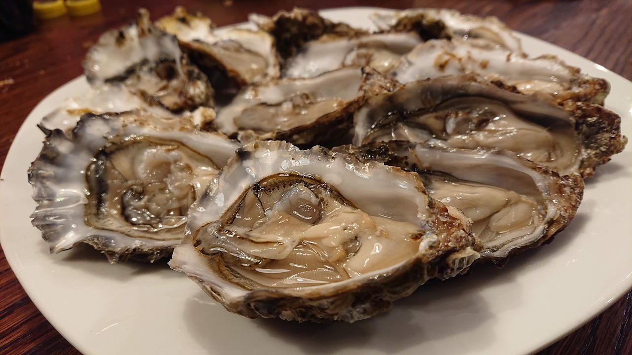 https://pixabay.com/it/photos/ostriche-crostacei-cozze-conchiglia-4758346/