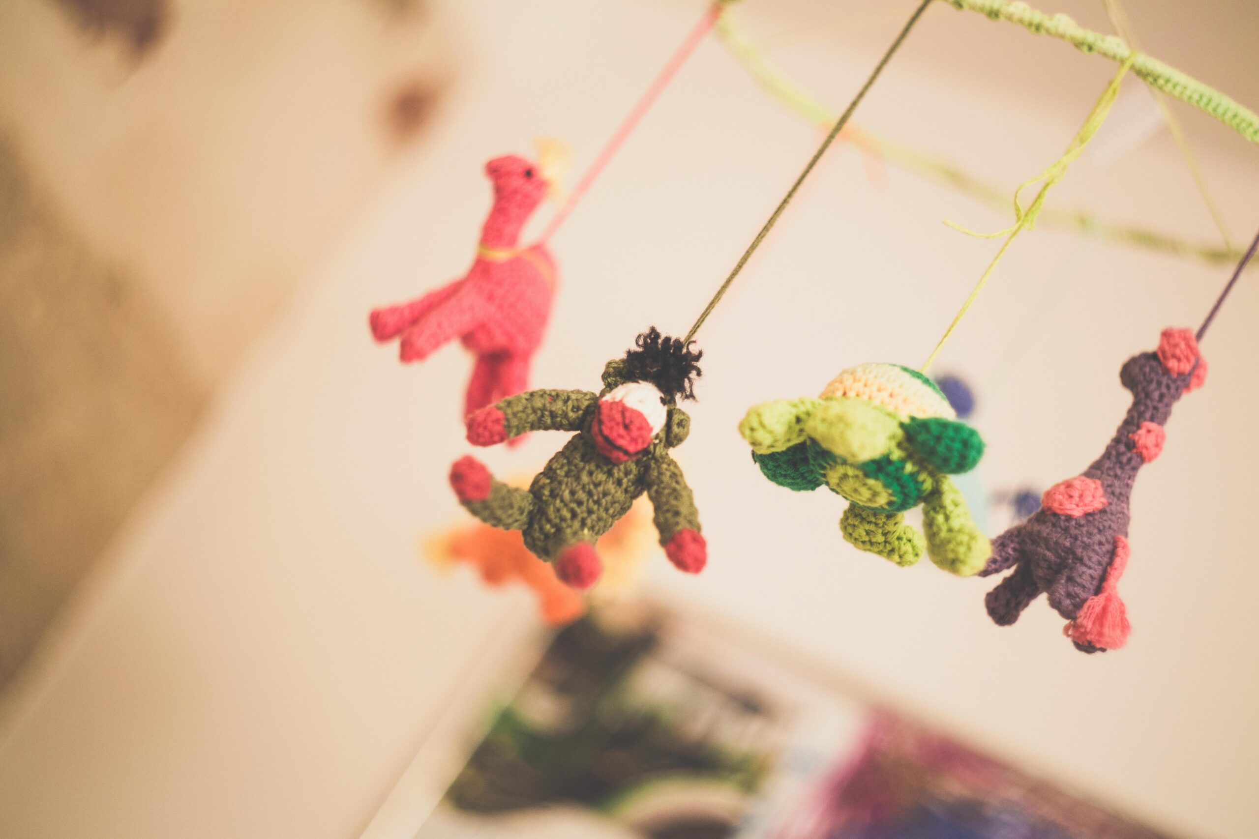 https://www.pexels.com/it-it/foto/modello-animale-sfocatura-colorato-234137/