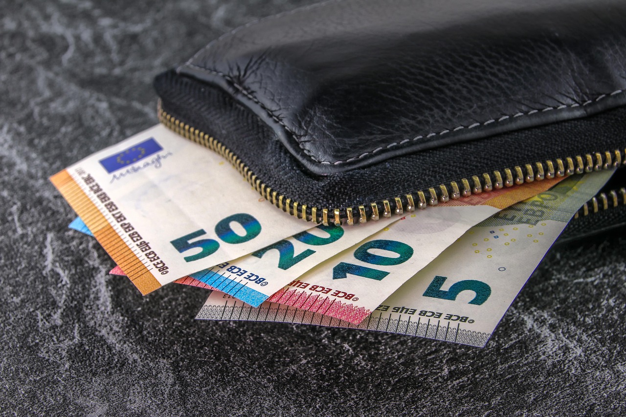 https://pixabay.com/it/photos/soldi-banconote-euro-moneta-pagare-3918183/