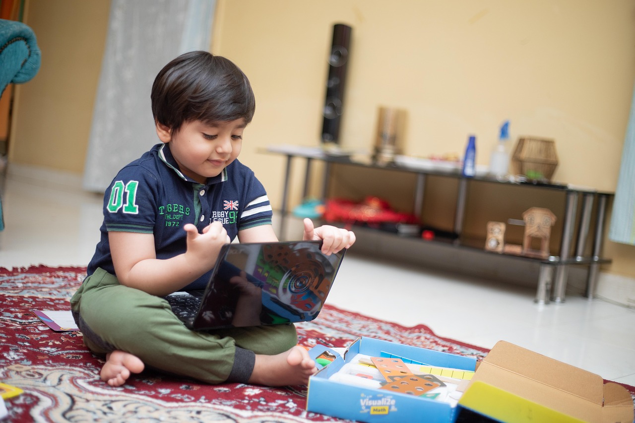 https://pixabay.com/it/photos/scuola-online-soggiorno-bambino-6956164/