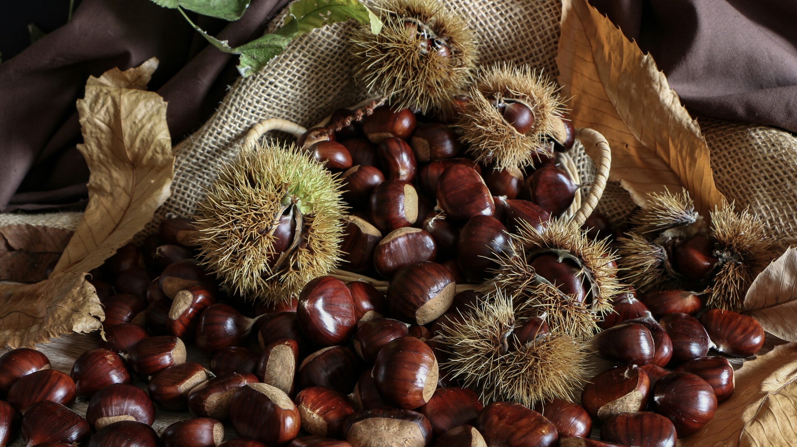 castagne