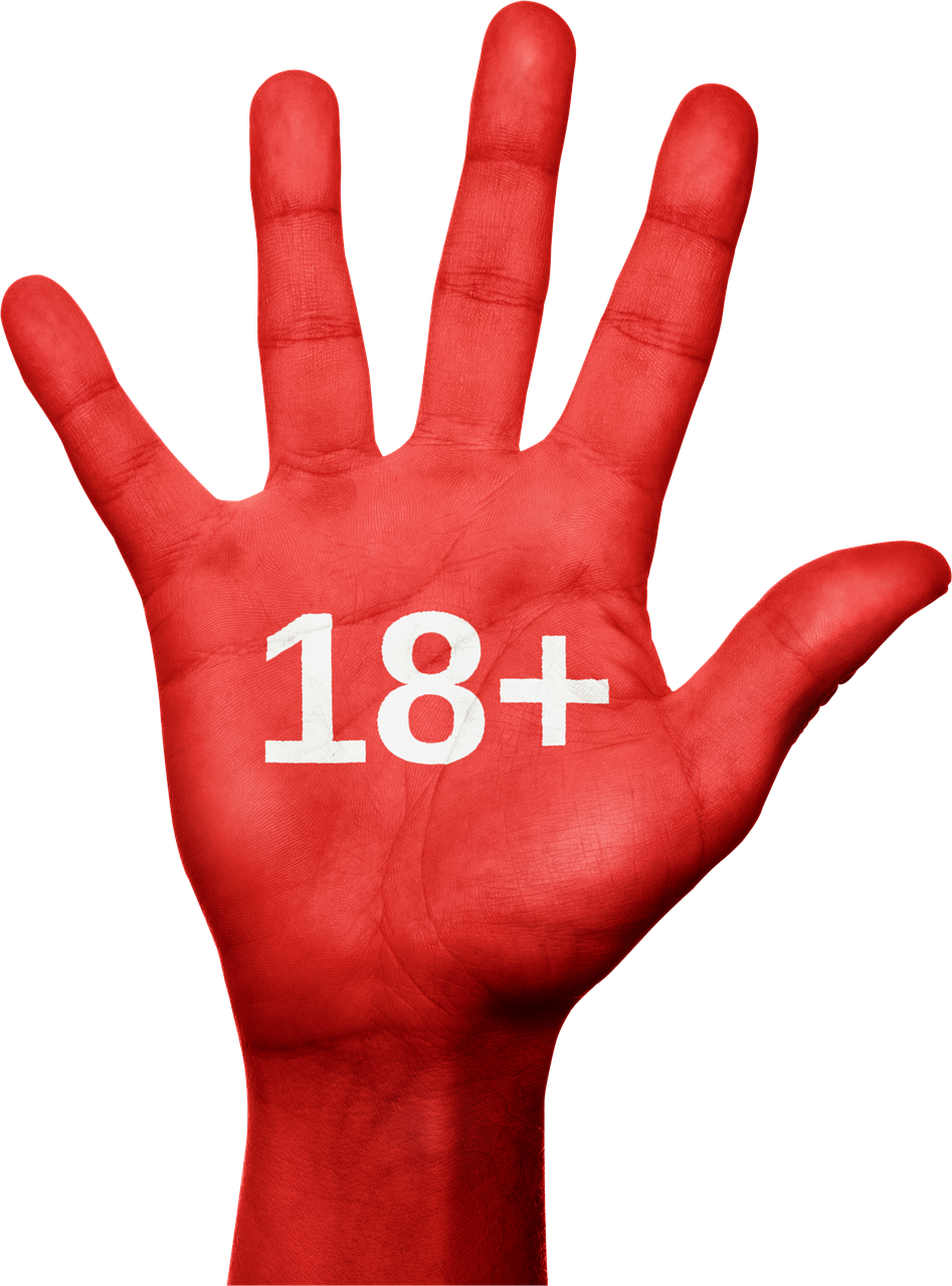 https://pixabay.com/it/illustrations/no-fermare-negativo-proibito-987214/