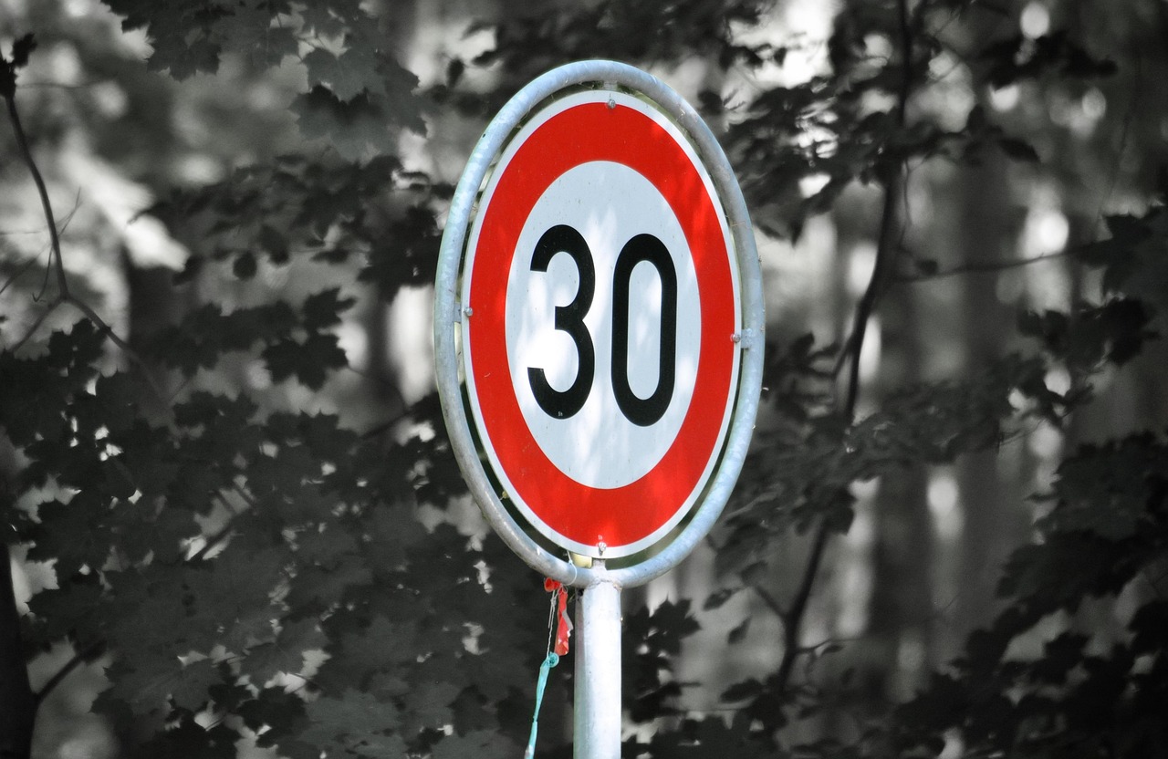 https://pixabay.com/it/photos/zona-30-segnali-stradali-attenzione-3421625/