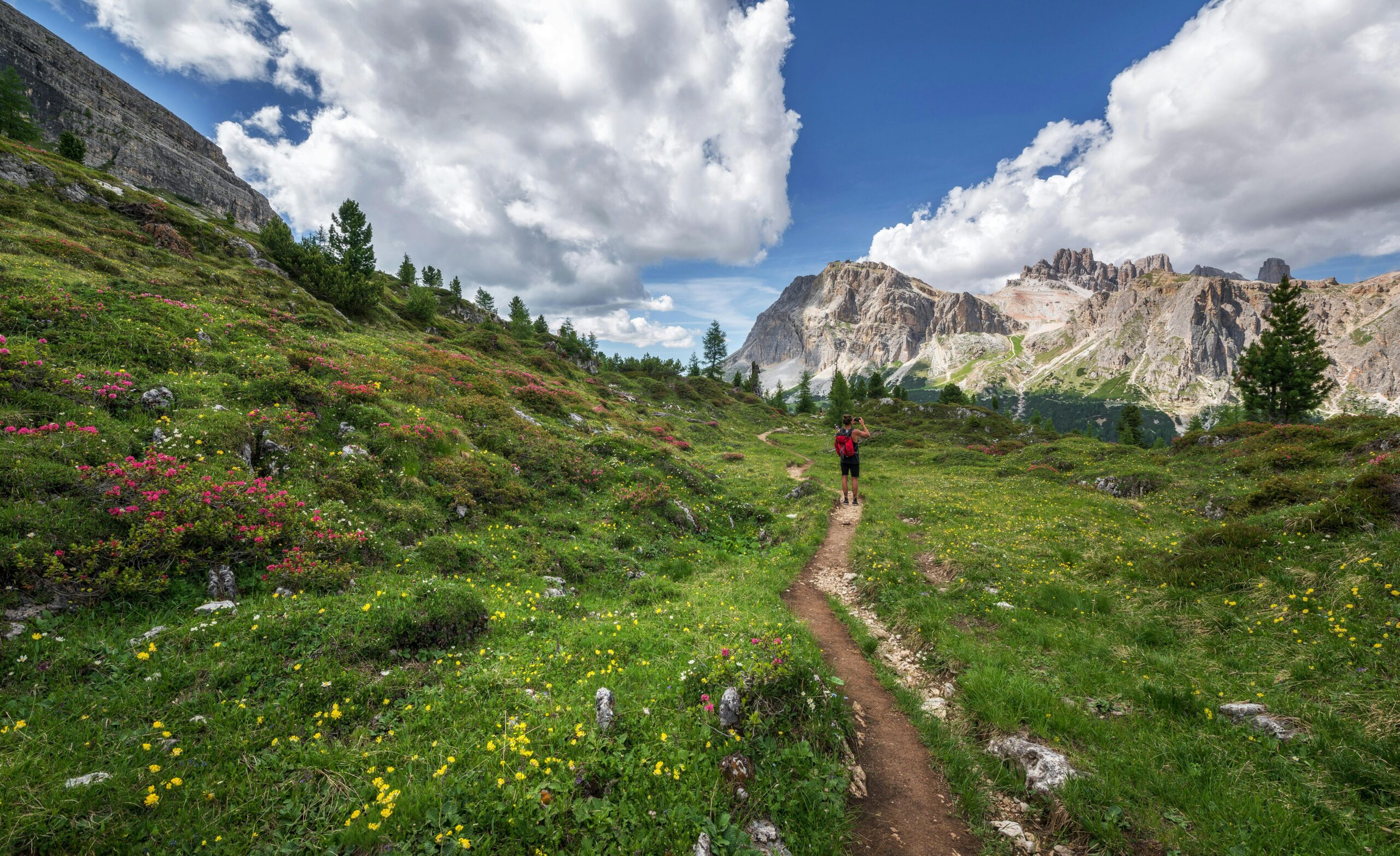 https://www.pexels.com/it-it/foto/persona-che-si-sveglia-sulla-collina-554609/