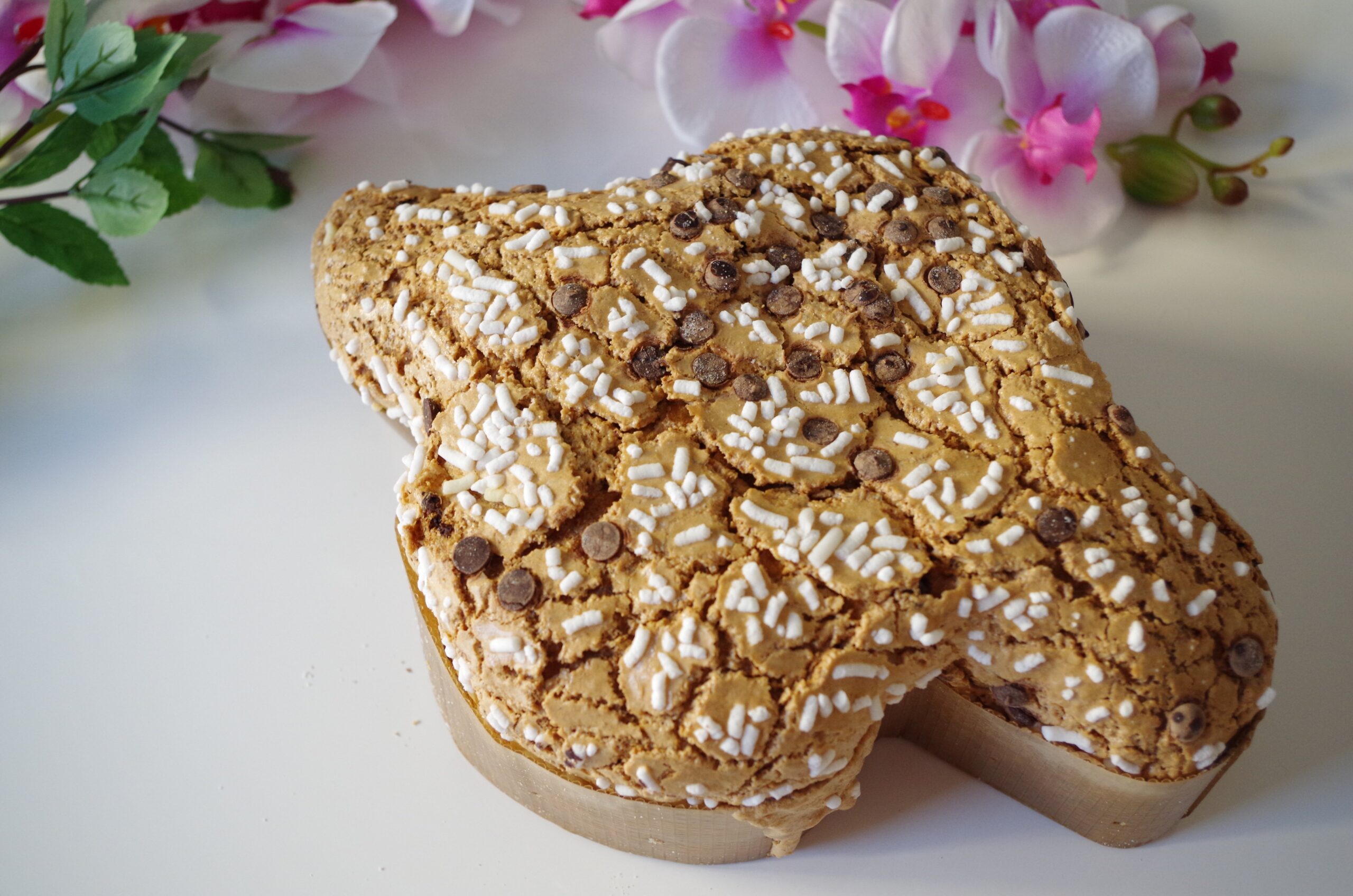 https://pixabay.com/it/photos/colomba-pasquale-colomba-pasqua-4594020/