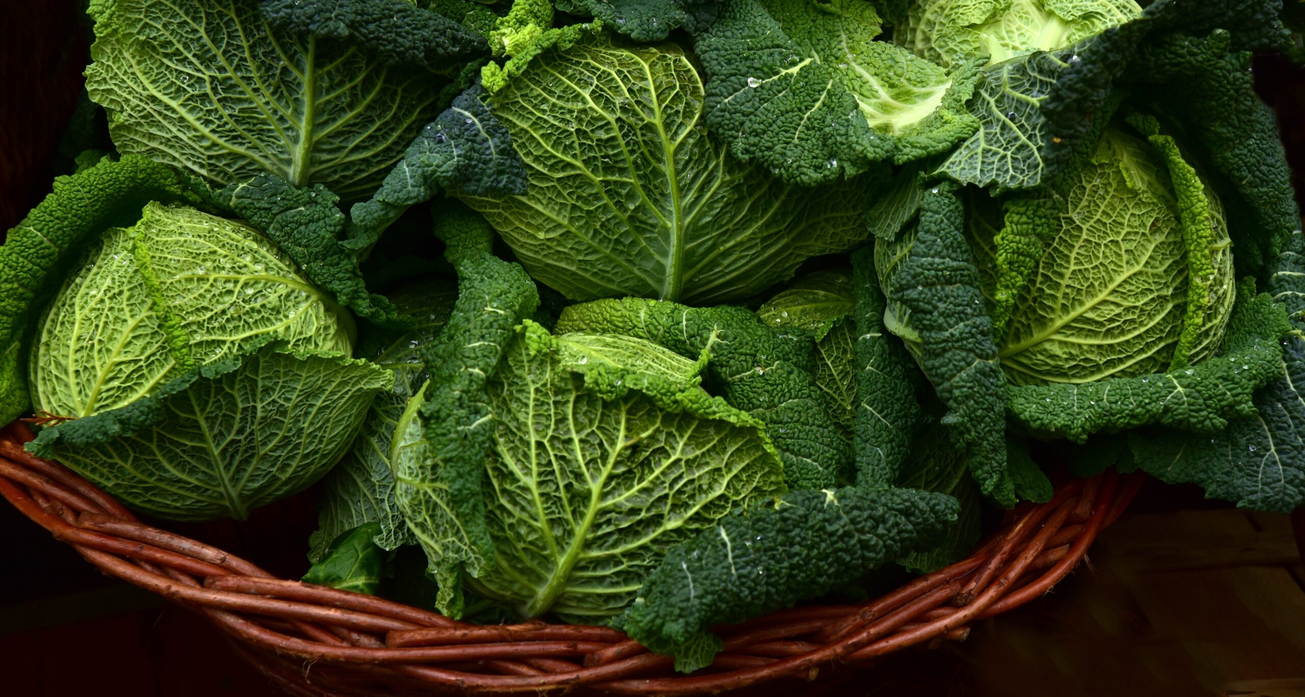 La dieta mediterranea rallenta l'invecchiamento del cervello: lo studio