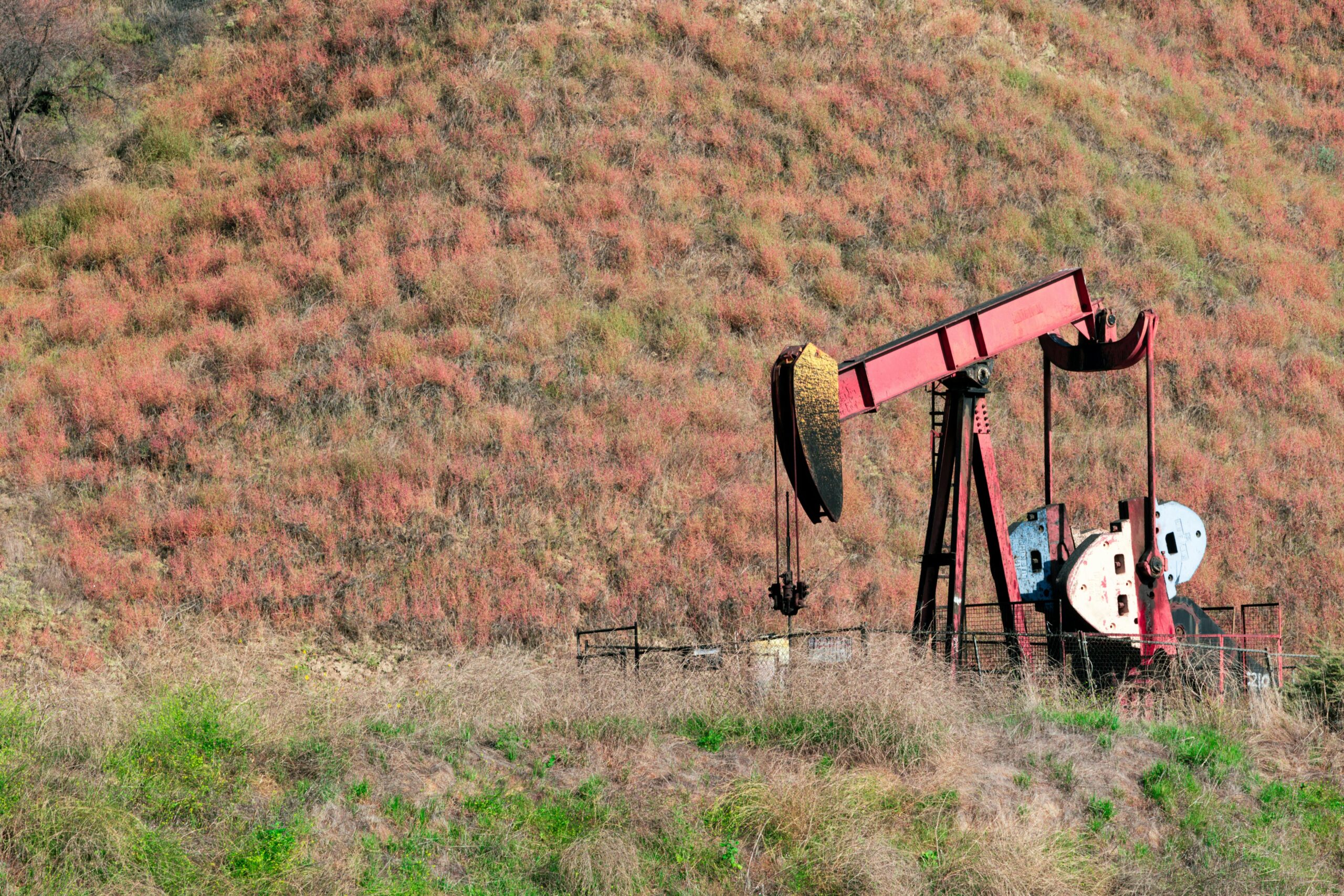 https://www.pexels.com/it-it/foto/campo-settore-industria-ambiente-18905793/