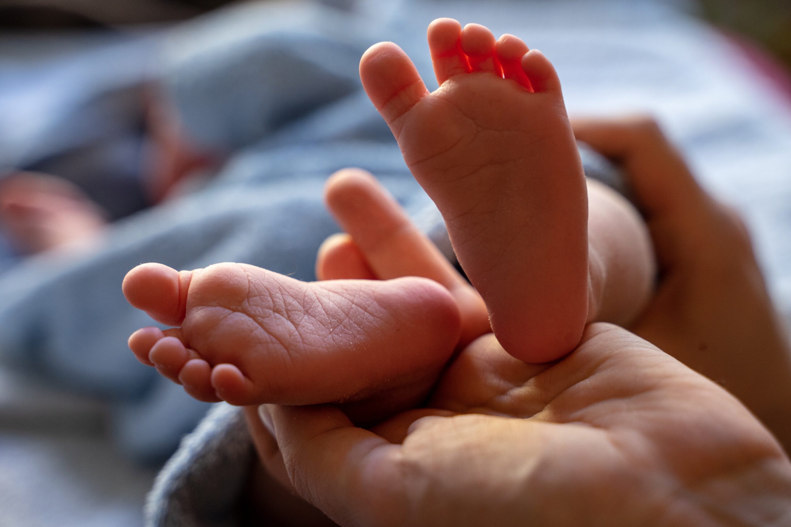 https://pixabay.com/it/photos/bambino-neonato-piedi-bambino-piedi-4077353/