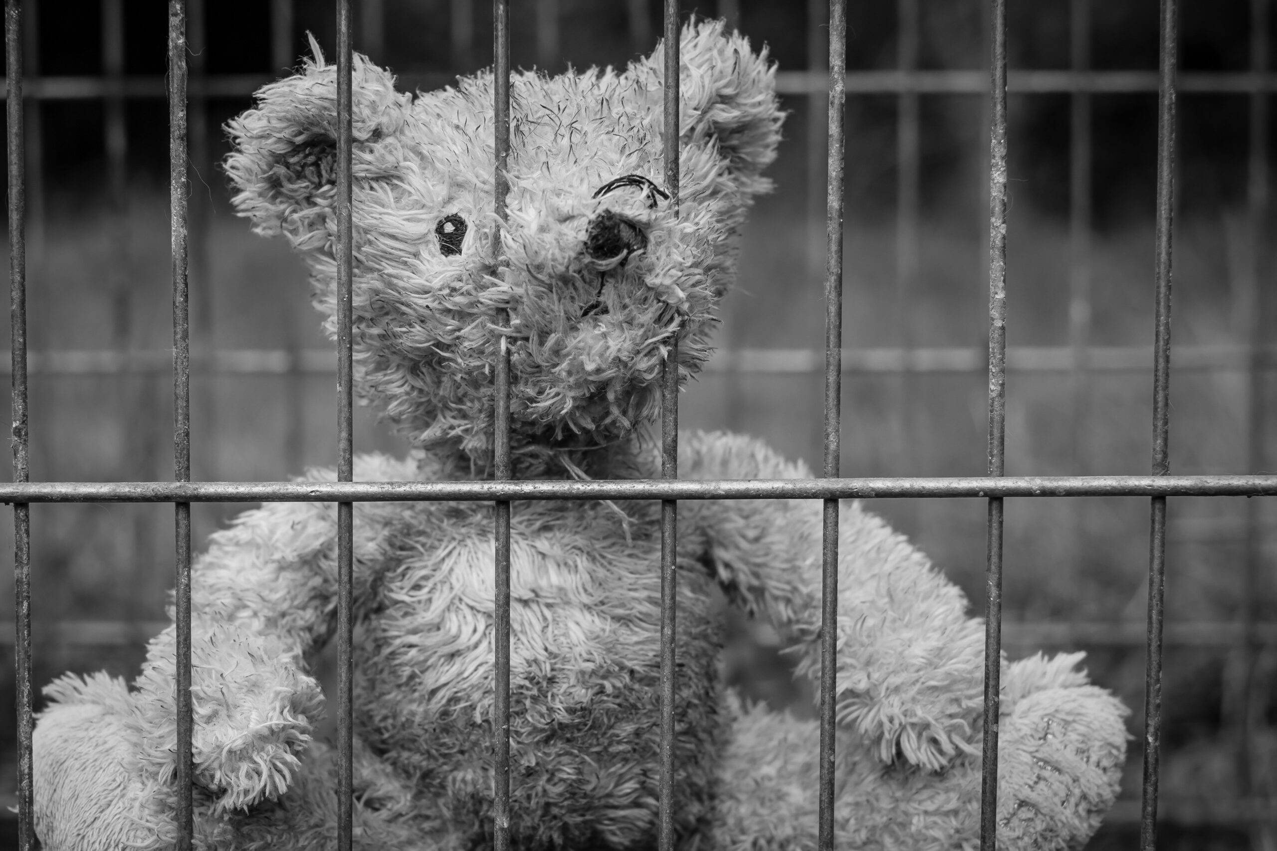 Bambini in carcere con le madri, oggi una giornata di lavoro promossa da UNICEF Italia e CNEL