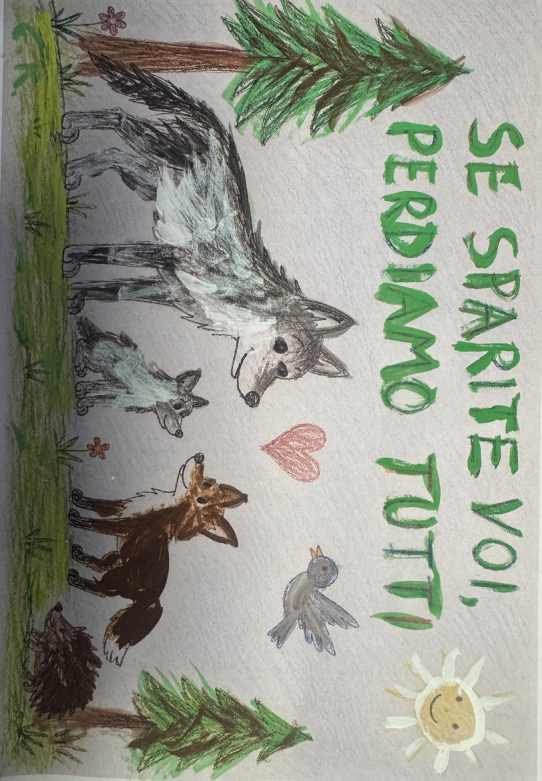biodiversità disegno bambini