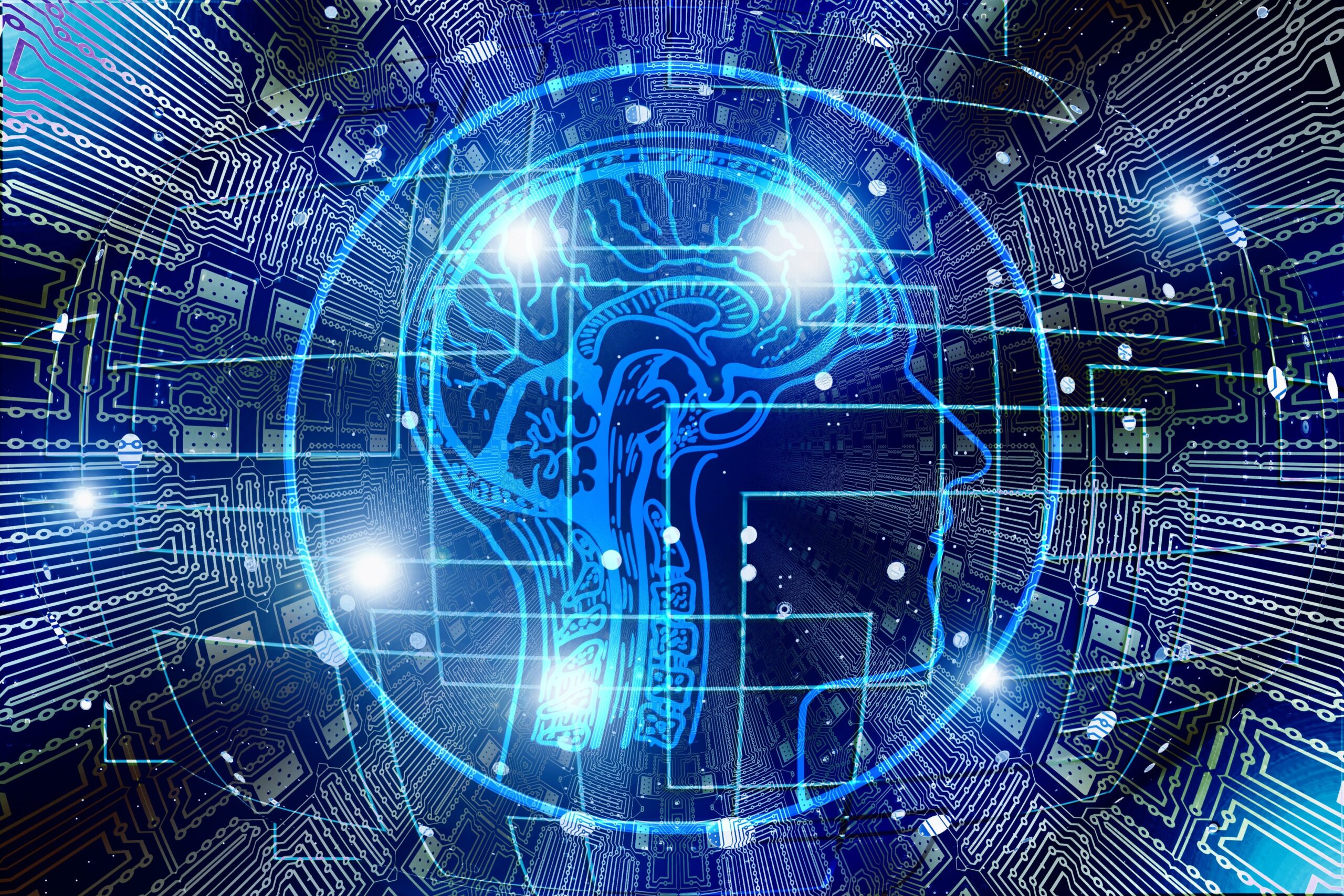 https://pixabay.com/it/illustrations/intelligenza-artificiale-cervello-3382507/