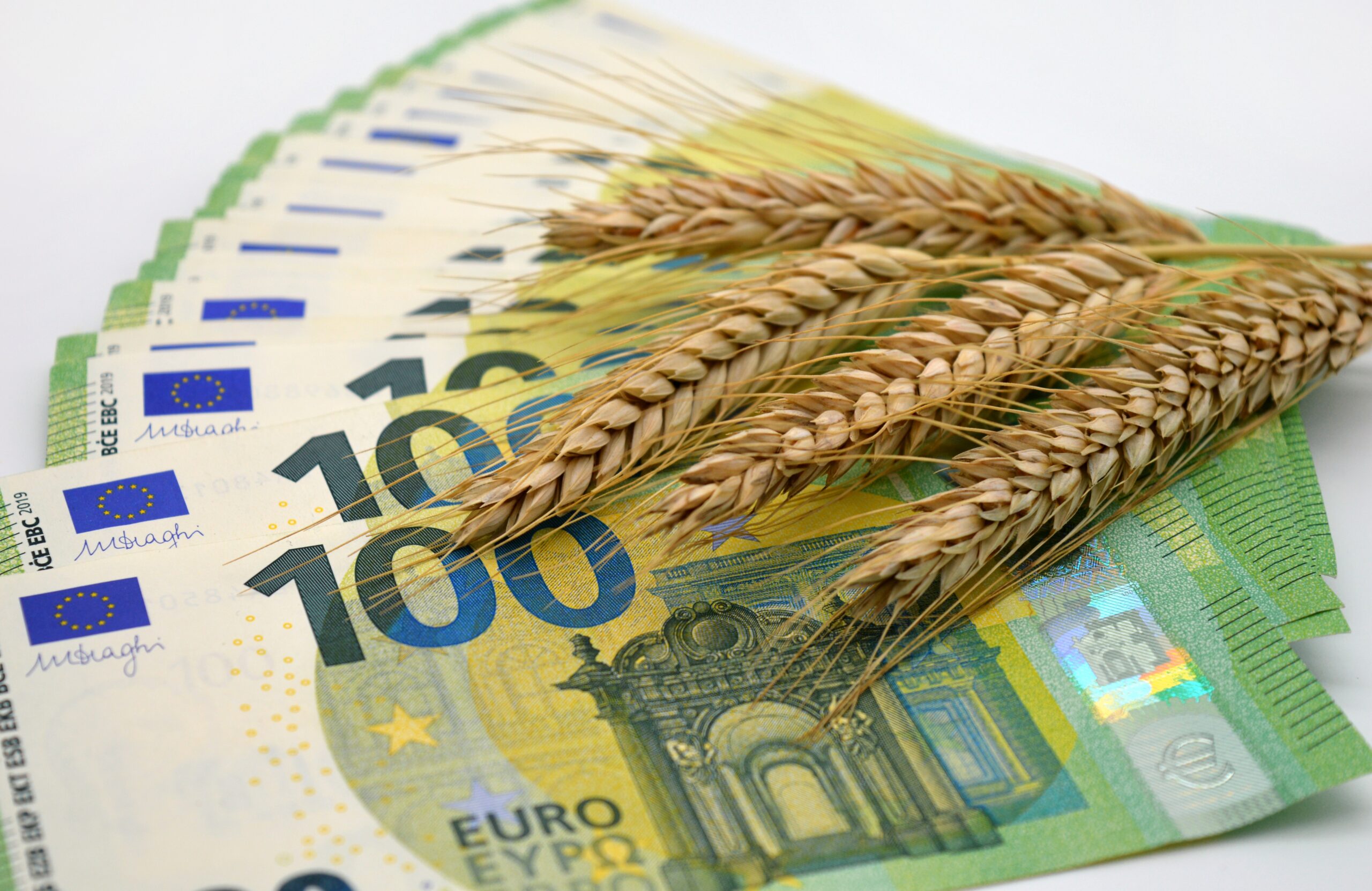 https://pixabay.com/it/photos/soldi-moneta-finanza-grano-7724809/