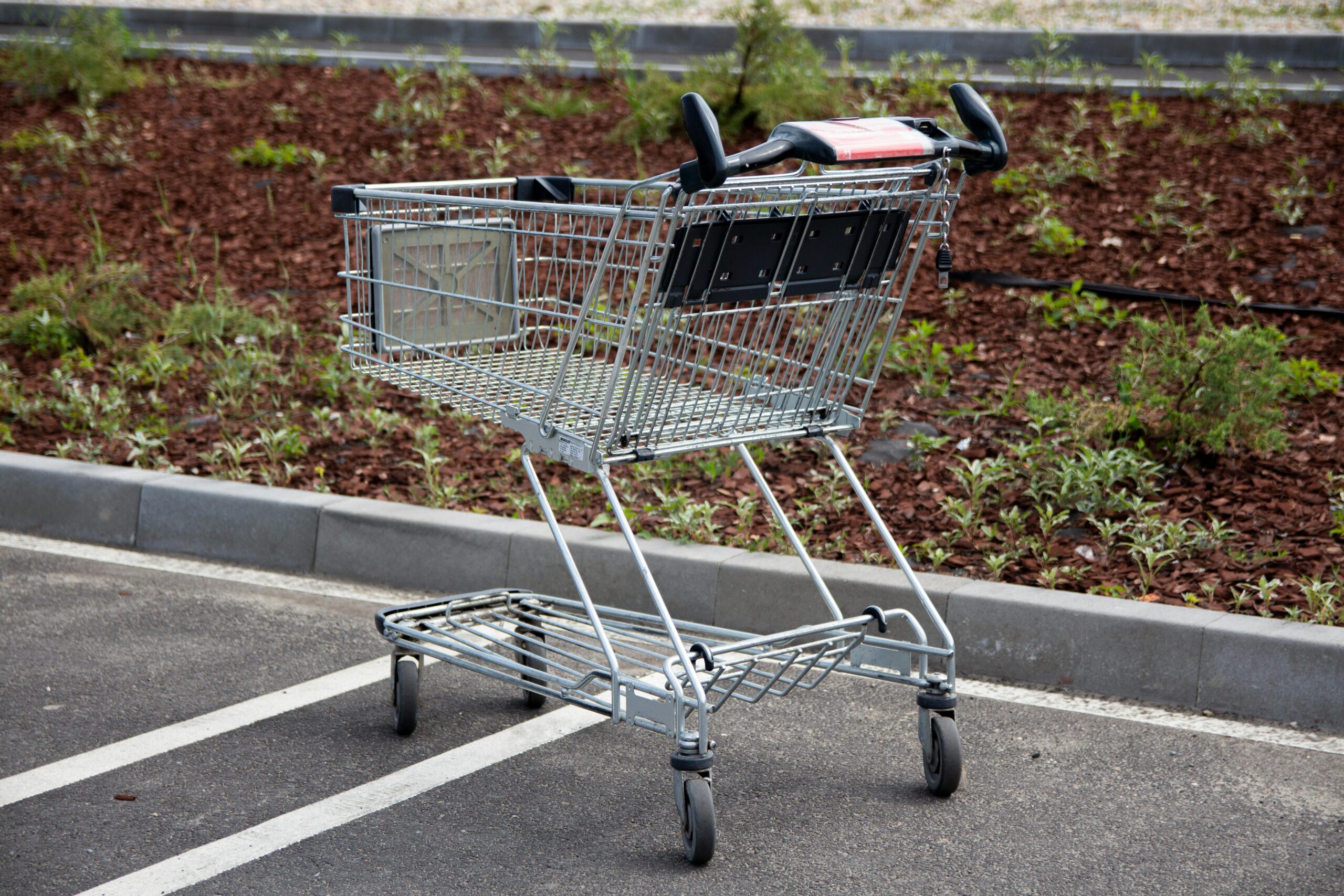https://www.pexels.com/it-it/foto/parcheggio-carrello-carrello-della-spesa-12323217/