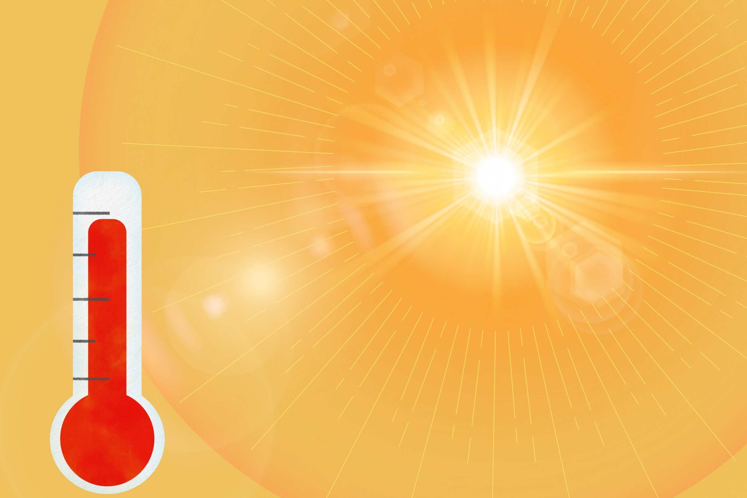 https://pixabay.com/it/illustrations/calore-ondata-di-caldo-7355046/