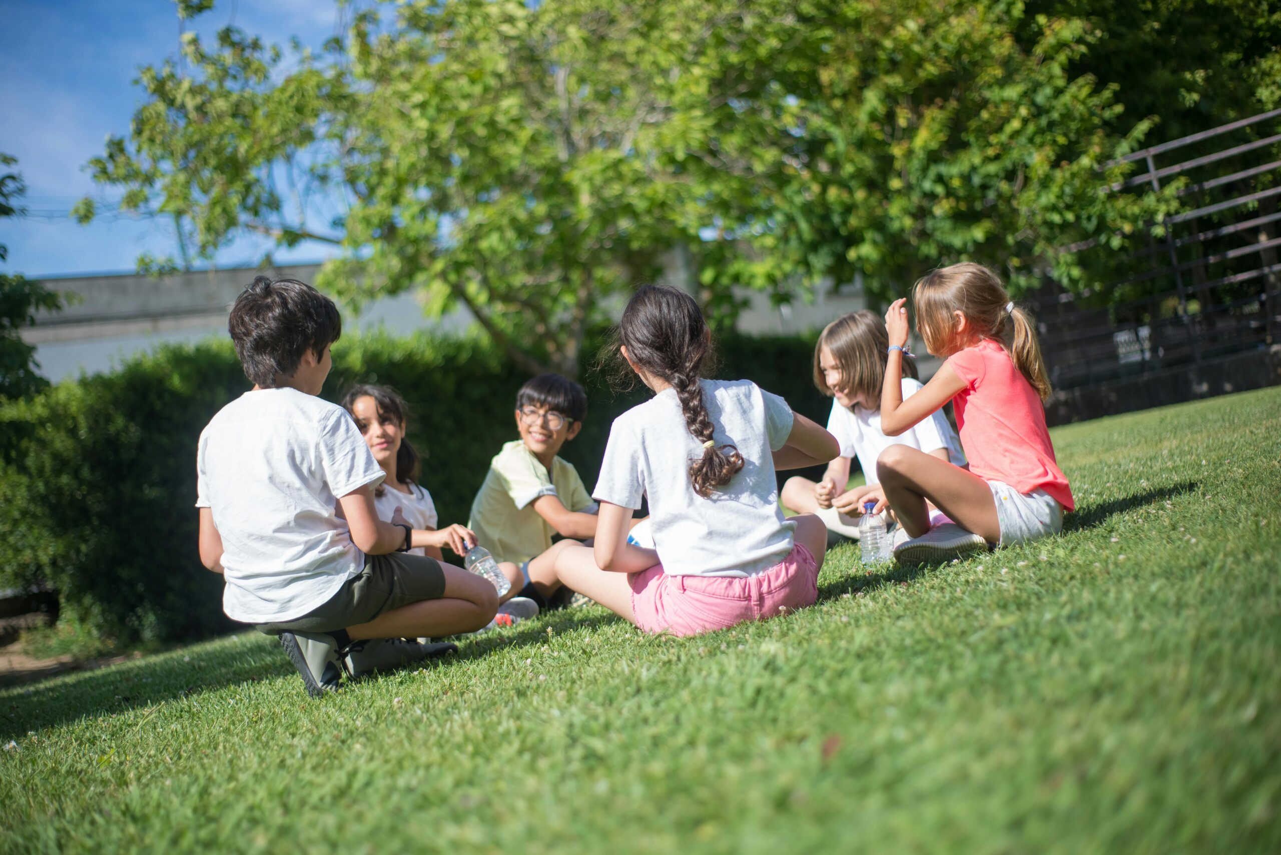 https://www.pexels.com/it-it/foto/alberi-seduto-scuola-erba-8813526/