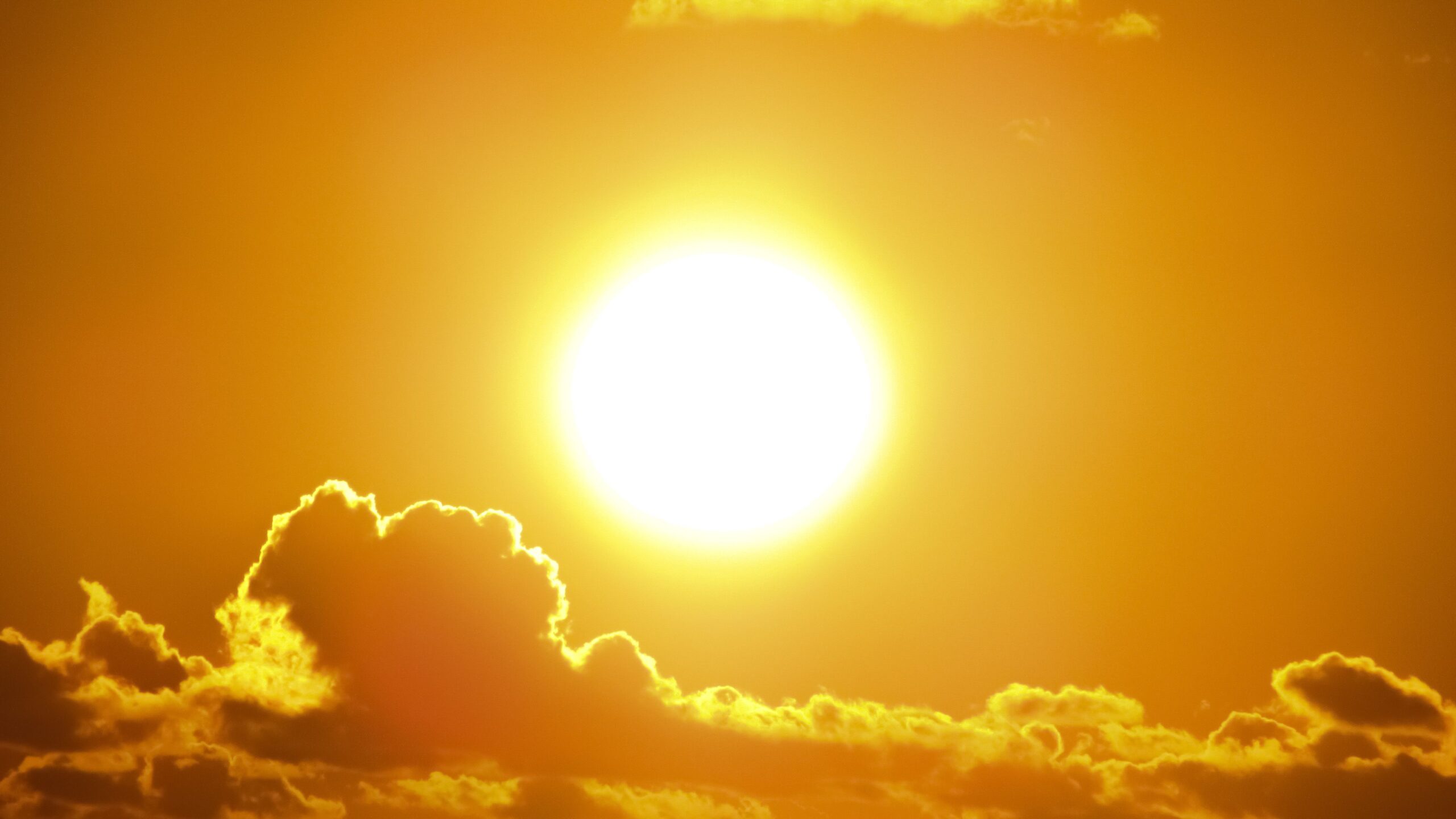 https://www.pexels.com/it-it/foto/sole-301599/