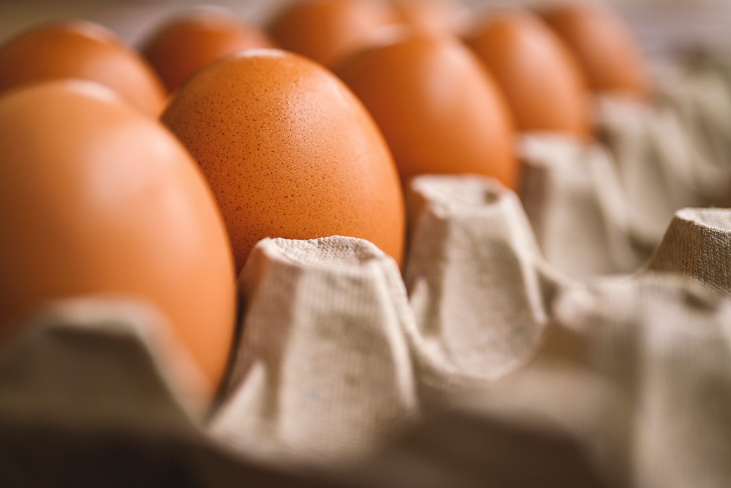 EggTrack 2025, CIWF: in Italia andamento positivo verso l'eliminazione delle gabbie dalle filiere di uova